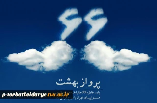اعلام همدردی وتسلیت ریاست،اساتید،کارکنان ودانشجویان آموزشکده فنی و حرفه ای تربت حیدریه در خصوص سانحه سقوط هواپیما